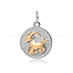 Pendentifs en acier inoxydable 316&nbsp;STAS-S045-40J