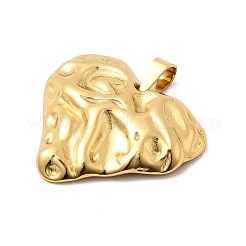Pendentifs en acier inoxydable 304&nbsp;STAS-C163-04B-G