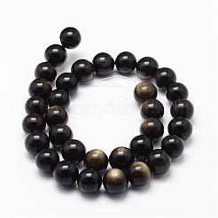 Natürliche goldenen Glanz Obsidian Perlen Stränge&nbsp;G-D838-8mm-05