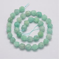 Natur amazonite Perle Stränge&nbsp;G-G970-10-10mm