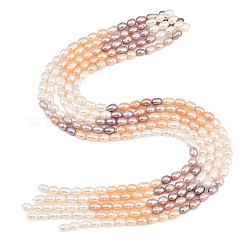 Fili di perle coltivate d'acqua dolce naturali in tre colori&nbsp;PA-CBAFEE8-04B