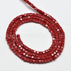 Facettiert Würfel Glasperlen Stränge&nbsp;X-EGLA-J133-C02