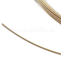 Filo di ferro riempito d'oro giallo&nbsp;CWIR-D001-01C-G