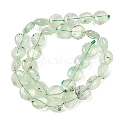 Natur Prehnit Perlen Stränge&nbsp;G-F790-H03-03