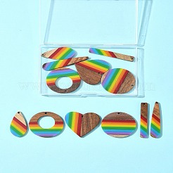 12 Stück 6 Stile Pride Regenbogen Thema Harz & Walnuss Holz Anhänger&nbsp;WOOD-FS0001-32