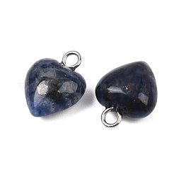Breloques de sodalite naturels&nbsp;G-T132-005G