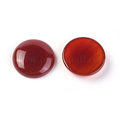 Cabochon corniola naturali&nbsp;X-G-F608-04C-01