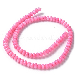 Naturali di acqua dolce perline shell fili&nbsp;SSHEL-C013-07