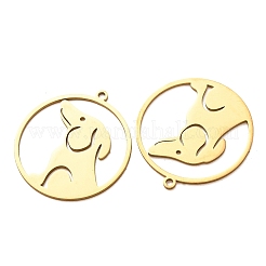 201 pendentifs en acier inoxydable&nbsp;SA-CBA49C1-07G