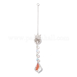 Hanging Suncatcher, Iron & Faceted Glass Pendant Decorations, with Jump Ring, Owl, Clear AB, 360x1mm, Hole: 11mm