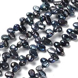 Fili di perle di perle d'acqua dolce coltivate naturali, grado 4a+, due lati lucido, tinto, blu di Prussia, 8~10x6.5~7x5~6mm, Foro: 0.5 mm, circa 80pcs/filo, 16.42'' (41.7 cm)