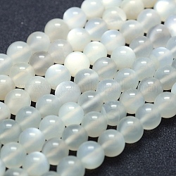 Natürlichen weißen Mondstein Perlen Stränge, Klasse A, Runde, 8 mm, Bohrung: 1 mm, ca. 49 Stk. / Strang, 15.5 Zoll (39.5 cm)