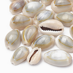Perle di conchiglia di ciprea, colore conchiglia, 12~17x7~11x5~8mm
