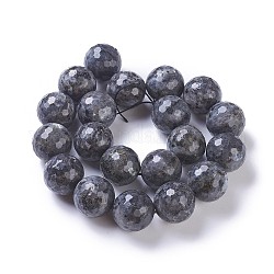 Chapelets de perles en labradorite naturelle , facette, ronde, 20~20.5mm, Trou: 2mm, Environ 20 pcs/chapelet, 15.3 pouce ~ 15.75 pouces (39~40 cm)