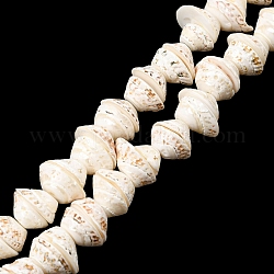 Conchiglia naturale fili di perle, turritella, colore conchiglia, 10~15x13x18mm, Foro: 1 mm, circa 52pcs/filo, 15.7 pollice