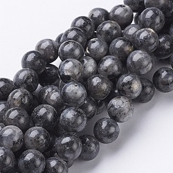 Brins de perles de larvikite naturelles, ronde, environ 10 mm, Trou: 1mm, Environ 40 pcs/chapelet, 15.5 pouce