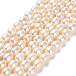 Hebras de perlas de agua dulce cultivadas naturales, dos lados pulidos, grado 5a+, lino, 6~7x5.5~6mm, agujero: 0.5 mm, aproximamente 53~55 pcs / cadena, 14.37~14.76 pulgada (36.5~37.5 cm)