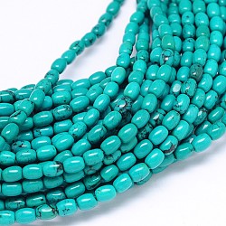 Howlite naturales hebras de perlas ovaladas, teñido y climatizada, medio turquesa, 6x4mm, agujero: 1 mm, aproximamente 69 pcs / cadena, 15.55 pulgada