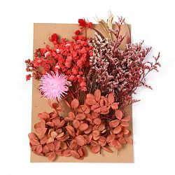 Fleur séchée, pour la douche nuptiale, mariage, fleur fraîche conservée, rouge, 210x148x14~24.5mm