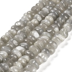 Brins de perles de pierre de lune grise naturelle, pépites, pierre roulée, 4~9x8~11.5x7~10mm, Trou: 1mm, Environ 54~58 pcs/chapelet, 15.12~15.35 pouce (38.4~39 cm)