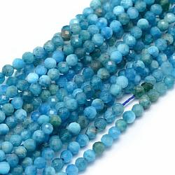 Chapelets de perles en apatite naturelle, facette, ronde, 3mm, Trou: 0.5mm, Environ 113 pcs/chapelet, 15.35 pouce (39 cm)