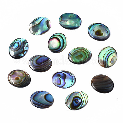 Cabochon di conchiglia abalone naturale / paua shell&nbsp;SSHEL-N034-118-1