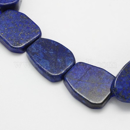 Dyed Natural Lapis Lazuli Trapezoid Bead Strands G-M239-58-1