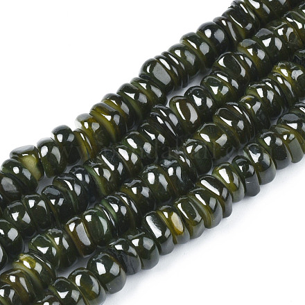 Chapelets de perles de coquille de trochid / trochus coquille SHEL-S258-081-B01-1