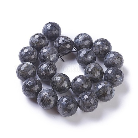 Chapelets de perles en labradorite naturelle  G-P428-9B-20mm-1