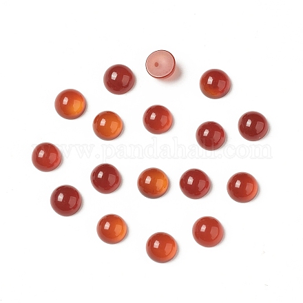 Cabochons en agate rouge naturelle G-G994-J02-01-1