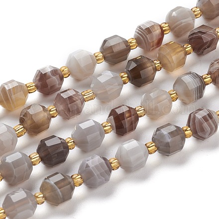 Chapelets de perles en agate naturelle du Botswana G-K303-A20-8mm-1