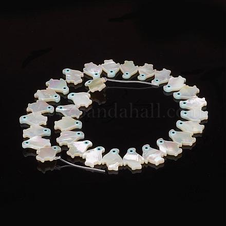 Natural Sea Shell Beads SSHEL-F293-03-1