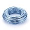 Round Anodized Aluminum Wire, Bendable Metal Craft Wire, for DIY Jewelry Craft Making, Light Sky Blue, 9 Gauge, 3.0mm, 25m/500g(82 Feet/500g)