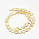 Naturali di mare shell perle fili SSHEL-Q301-04-2