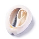 Natürliche Kaurimuschel Perlen BSHE-XCP0001-04-3