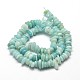 Natural Amazonite Chip Beads Strands G-E271-107-2