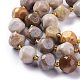Natural Fossil Coral Beads Strands G-A030-B02-10mm-3