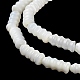 Brins de perles de coquillages naturels de troca BSHE-Z003-17-3