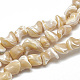 Chapelets de perles de coquille de trochid / trochus coquille BSHE-S302-06-1