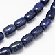 Natural Lapis Lazuli Barrel Beads Strands G-F242-01-2