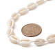 Collier de perles tressées en coquillage cauri naturel et turquoise synthétique pour femme NJEW-JN04253-01-3