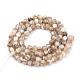 Freshwater Shell Beads Strands SSHEL-Q300-006A-2