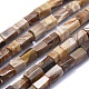 Naturali pietrificate perline di legno fili G-K293-J02-E-1