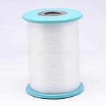 Nylon Wire, Fishing Thread, Clear, 0.35mm, about 2077.86 yards(1900m)/roll