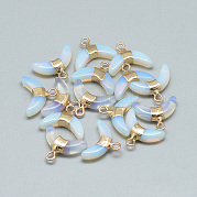 Opalite подвески G-Q494-40D