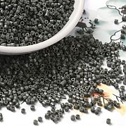 Выпечка краска стеклянные бусины SEED-S042-05B-42