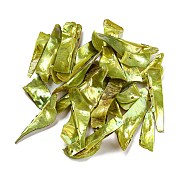 Большие подвески из натуральной ракушки акоя BSHE-G034-09D