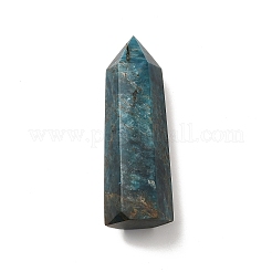 Décoration d'affichage en apatite naturelle&nbsp;LS-G-E137-01C