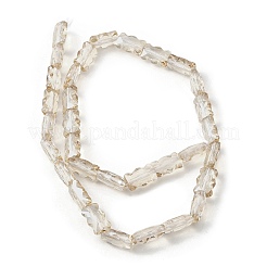 Chapelets de perles en verre électroplaqué&nbsp;EGLA-L045-F-PL01