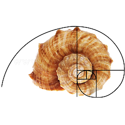 3 visor de composición de Fibonacci de plástico con proporción áurea de 3 estilos&nbsp;AJEW-DR0001-49